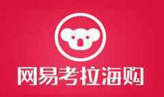 董明珠：格力造芯片不是玩的